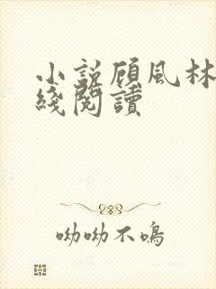 小说顾风林悦在线阅读