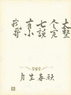 我有七个大佬哥哥小说完整版大结局