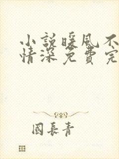 小说暖风不及你情深免费完本