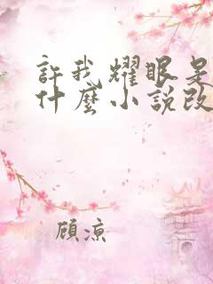 许我耀眼是根据什么小说改编