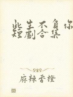 此生不负你情深短剧合集