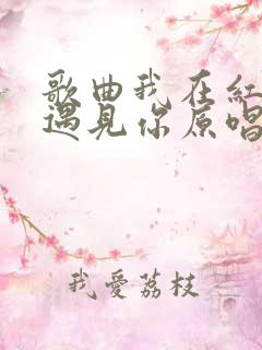 歌曲我在红尘中遇见你原唱