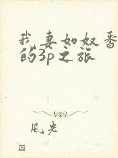 我妻如奴番外琳的3p之旅