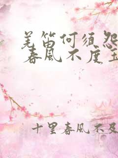 羌笛何须怨杨柳 春风不度玉门关修辞