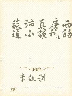 苏沛真唐雨菲林道小说我的岳母