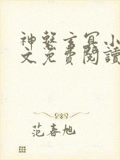 神系玄冥小说全文免费阅读