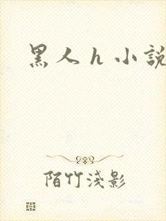 黑人 h 小说