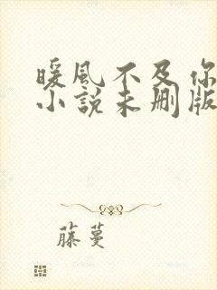 暖风不及你情深小说未删版全文