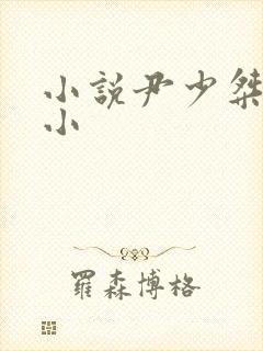 小说尹少桀慕小小