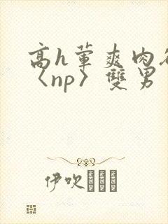 高h荤爽肉欲文〈np〉双男