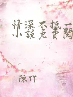 情深不抵一场错小说免费阅读