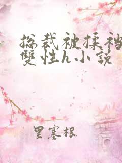 总裁被揉裆呻吟双性h小说