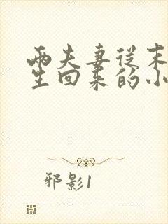 两夫妻从末世重生回来的小说