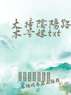 大撞阴阳路by木兮娘txt