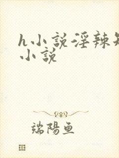 h小说淫辣短篇小说