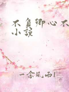 不负卿心不负君小说