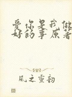 爱你是我做过最好的事原著小说