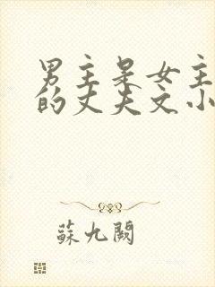 男主是女主姐姐的丈夫文小说