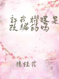 许我耀眼是小说改编的吗