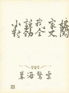 小说我家娘子不对劲全文阅读免费