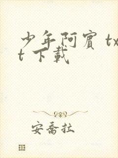 少年阿宾 txt 下载