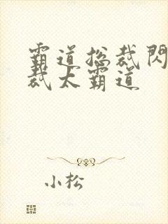 霸道总裁闪婚总裁太霸道