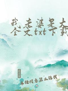 我老婆是大明星全文txt下载