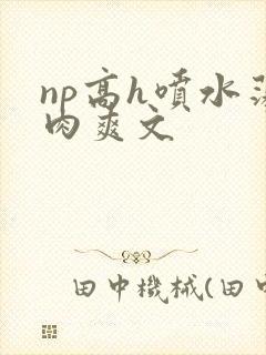 np高h喷水荡肉爽文