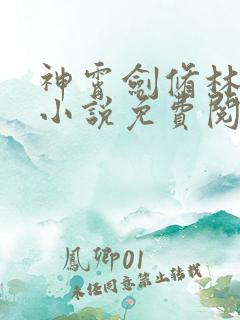 神霄剑修林风的小说免费阅读