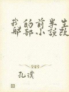 我的前半生根据哪部小说改编