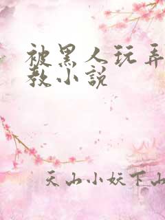 被黑人玩弄h调教小说