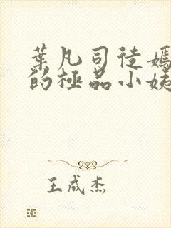 叶凡司徒嫣然我的极品小姨完整