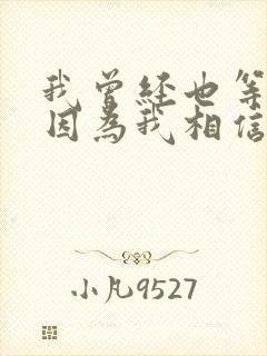 我曾经也等过你因为我相信是什么歌