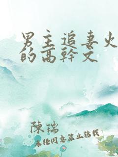 男主追妻火葬场的高干文