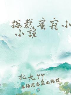 总裁蜜宠小甜妻 小说