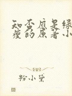 知否应是绿肥红瘦的原著小说听书