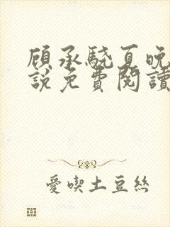 顾承骁夏晚宁小说免费阅读最新章节