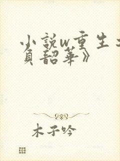 小说w重生之不负韶华》