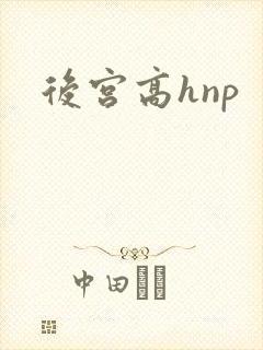 后宫高hnp