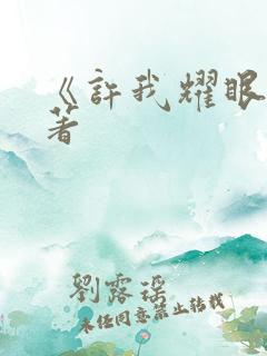 《许我耀眼》原著