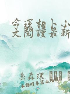 命运相卜小说全文阅读最新章节更新