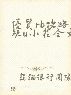 优质rb攻略系统u小花全文免费阅读