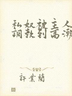 私奴被主人玩弄调教到高潮视频