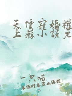 天价宠婚权少赖上瘾小说免费阅读