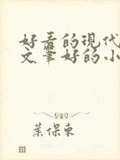 好看的现代言情文笔好的小说