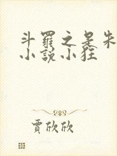 斗罗之是朱竹清小说小狂