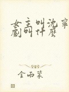 女主叫沈宁的短剧叫什么