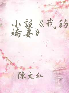 小说《我的极品娇妻》