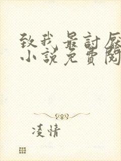 致我最讨厌的你小说免费阅读