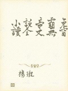 小说帝霸免费阅读全文无窗口